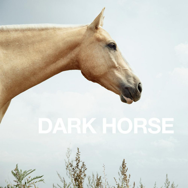 dark v.a. (RARE!!) 超特価!! horse records