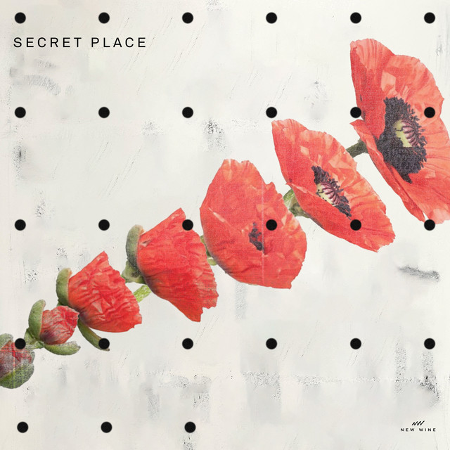Secret Place (Live) album image