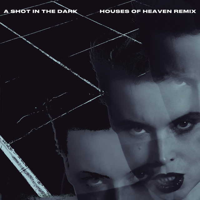 A Shot in the Dark (Houses of Heaven Remix)