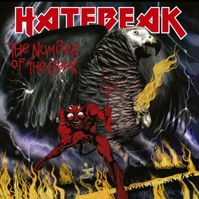 Number of the Beak cover art