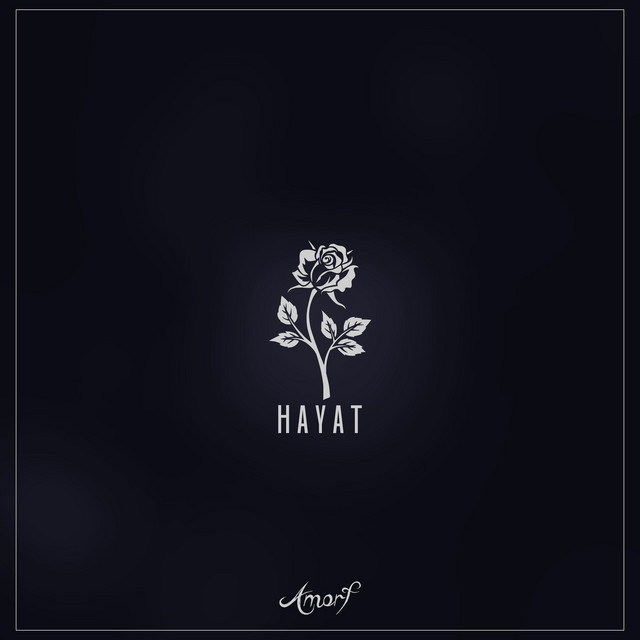 Hayat cover art