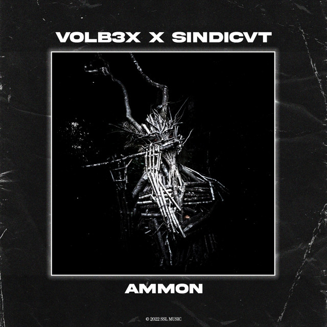 VOLB3X, SINDICVT – Ammon