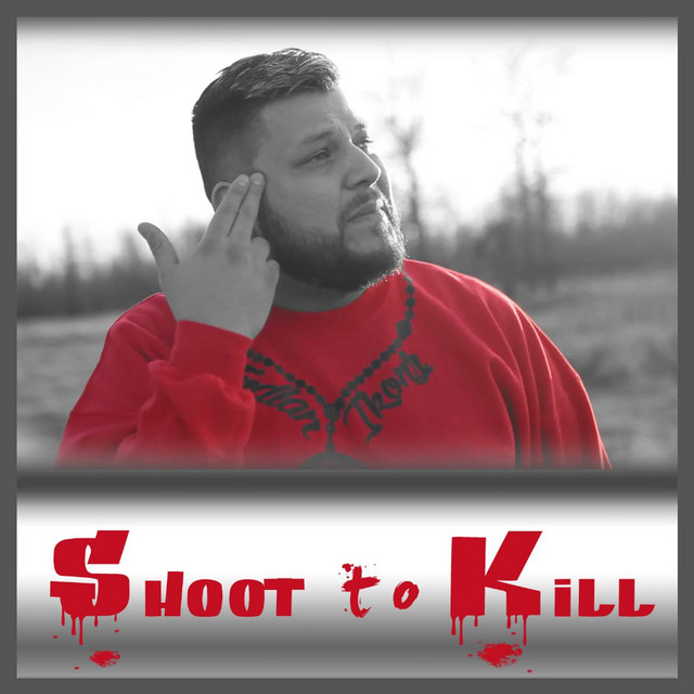Shoot to Kill cover