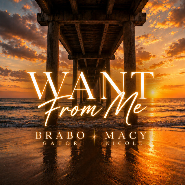 Want From Me cover