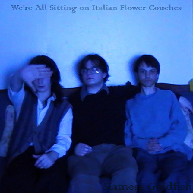 We're All Sitting on Italian Flower Couches cover art