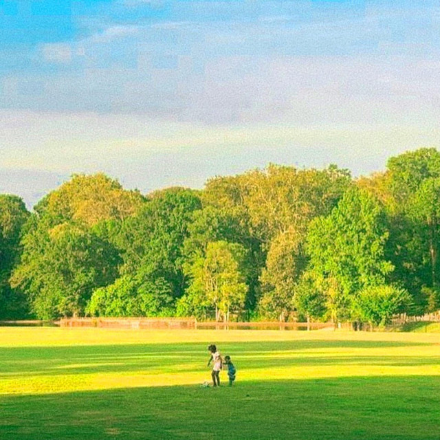 Nothing but Everything cover art