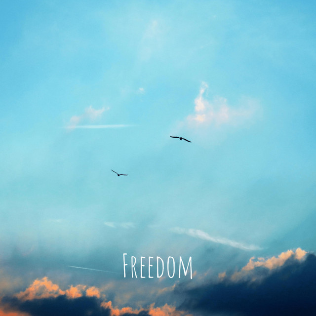 Freedom cover art