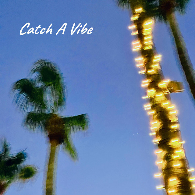 Catch A Vibe cover art