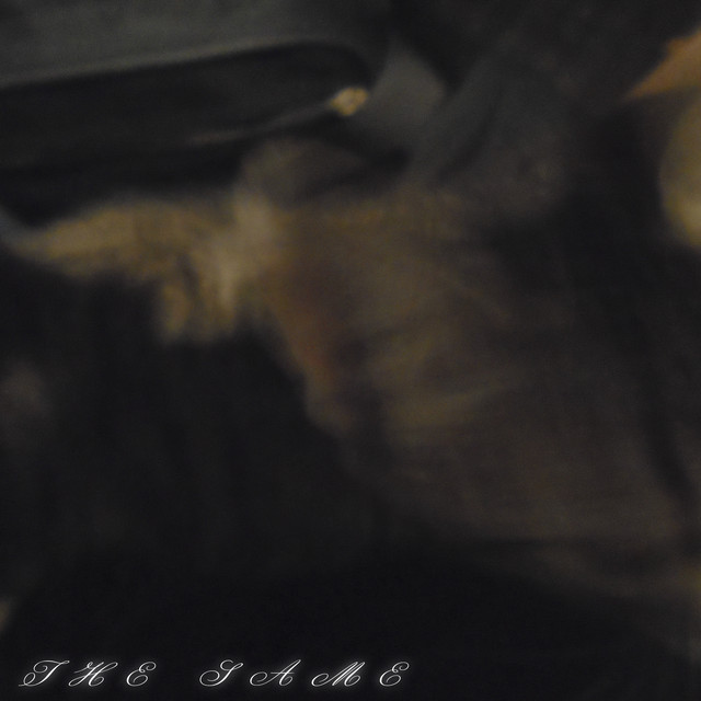 The Same cover art