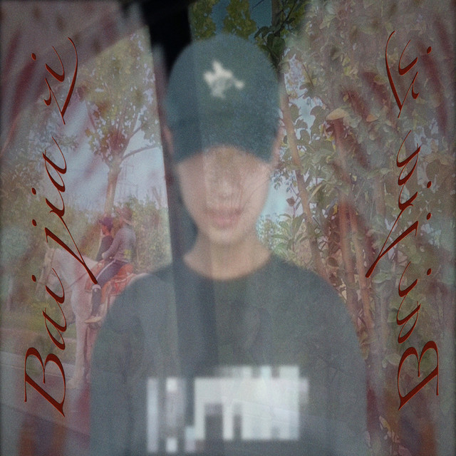 败家子 cover art