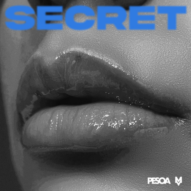 Secret cover