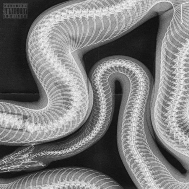 LIES cover art