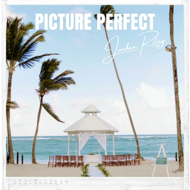 Picture Perfect cover