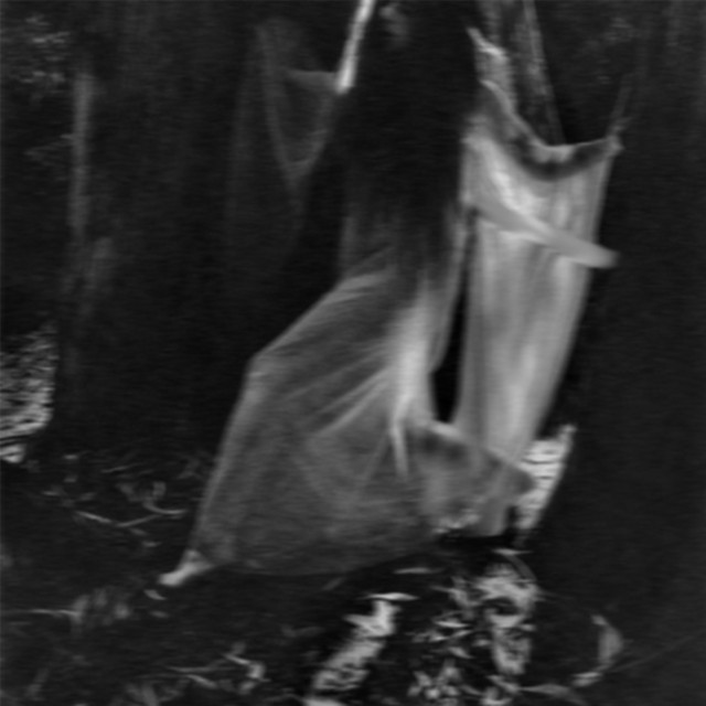 Witchcraft cover art