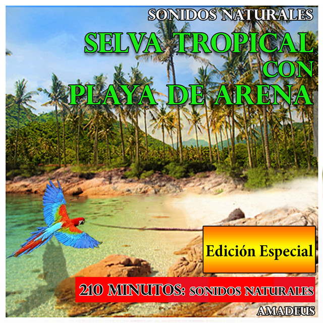 Vientos Huracanados y Lluvias Torrenciales de la Florida: Sonidos de la Naturaleza - Bonus Track cover art