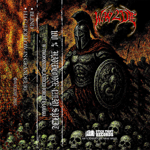 100% HARDCORE 4WAY SPLIT cover art