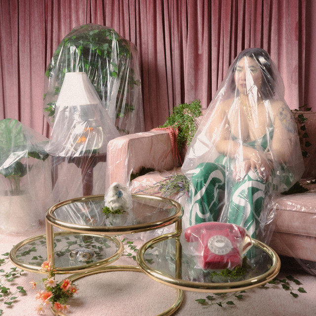 undefined album image