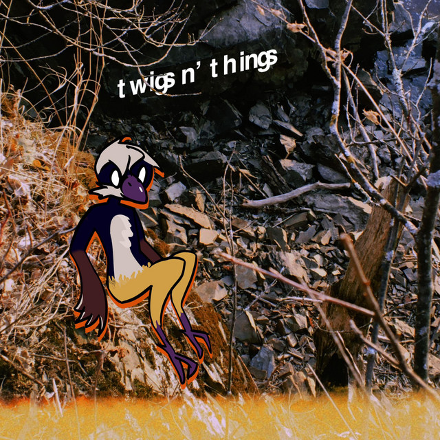twigs n' things cover art