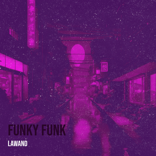 Funky Funk cover art