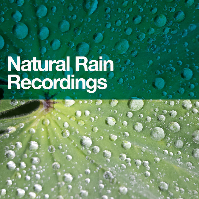 Natural Rain Recordings cover