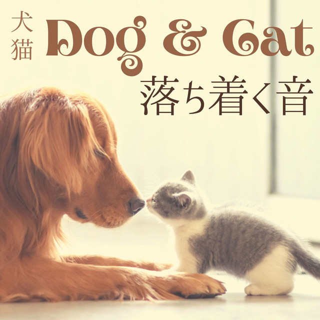 犬猫落ち着く音 Song And Lyrics By ペットのセラピー Spotify