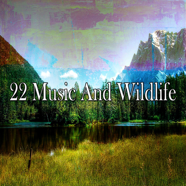 22 Music And Wildlife - Album by Nature Sounds for Sleep and Relaxation ...