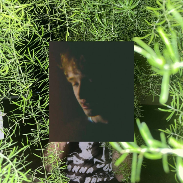 Guppies cover art