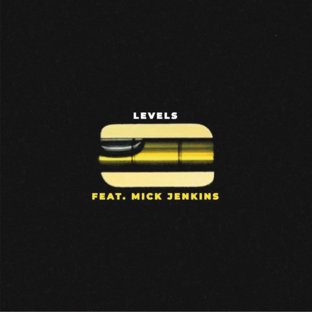 Levels cover art