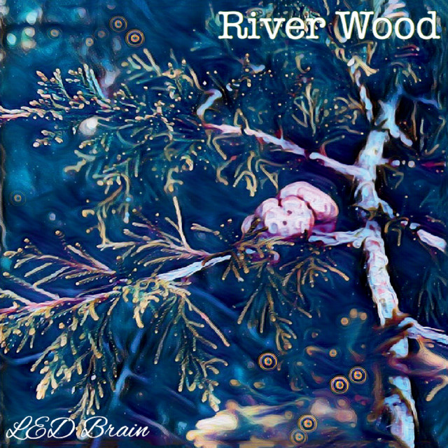 Wood River Photo
