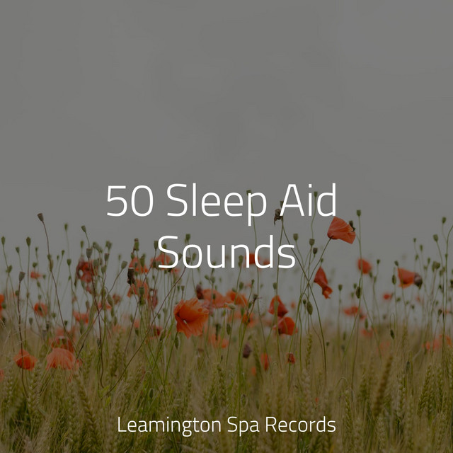 50 Sleep Aid Sounds - Album by Raindrops Sleep | Spotify