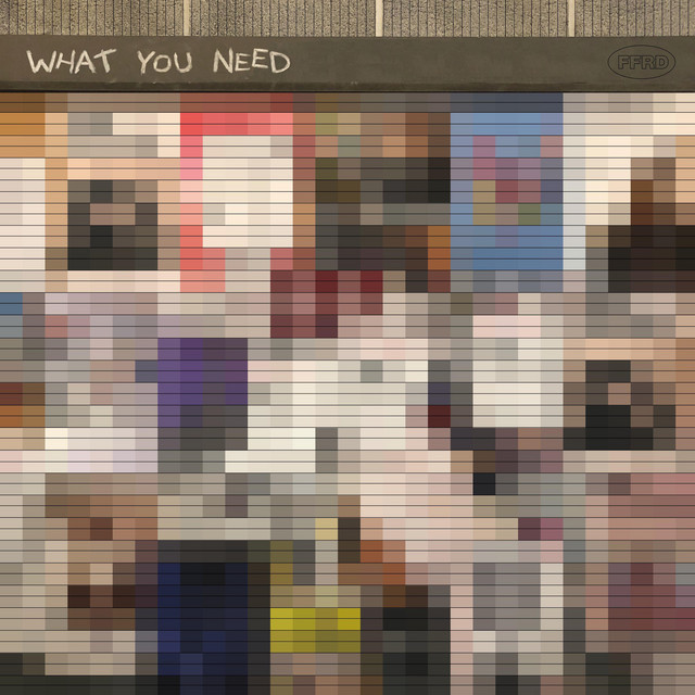 WHAT YOU NEED cover art