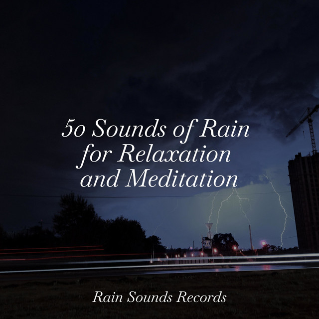 50 Sounds of Rain for Relaxation and Meditation cover art