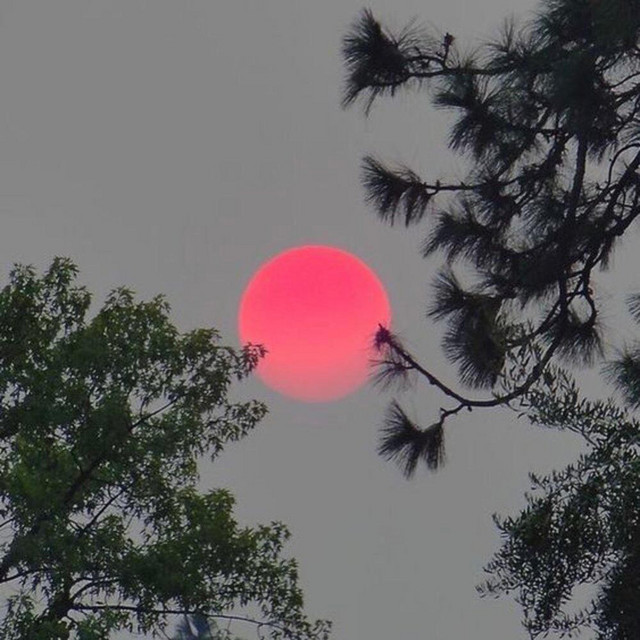 Red Moon cover art
