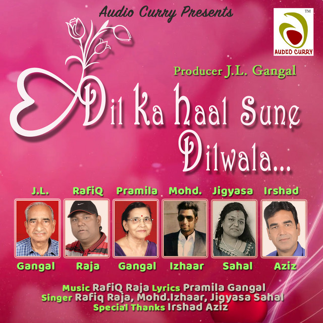 Dilka Haal Sune Dilwala cover art