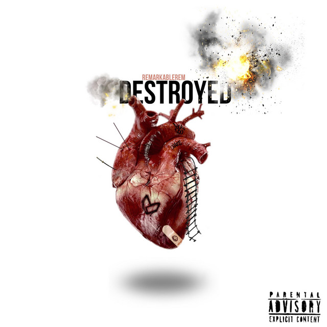 DESTROYED cover art