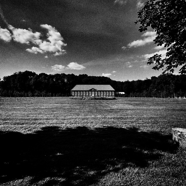 Schwarzweiß (single)