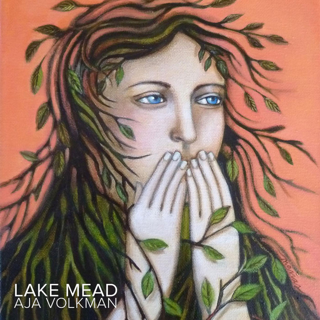 Lake Mead cover