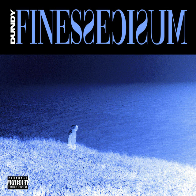 FINESSE MUSIC cover