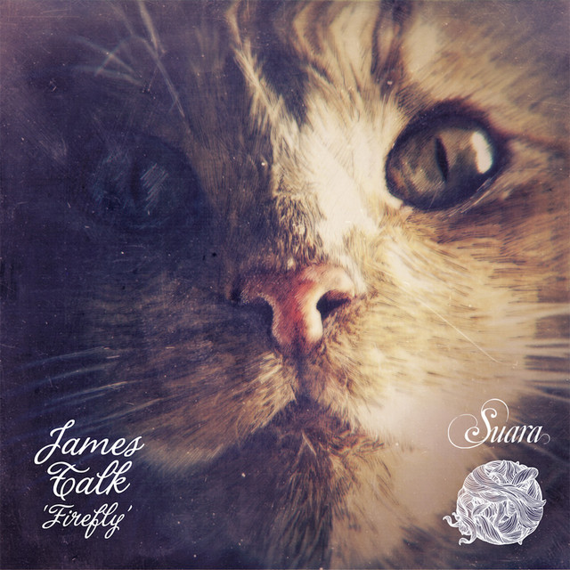 Amys Groove cover art
