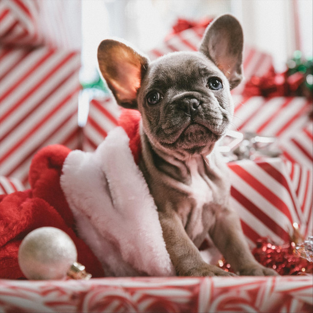 Have Yourself a Merry Little Christmas cover
