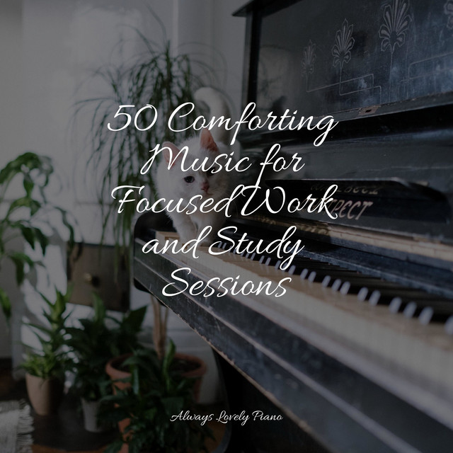 50 Comforting Music for Focused Work and Study Sessions - Album by ...