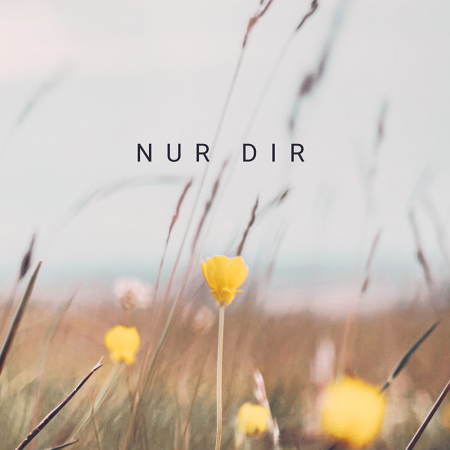 Nur Dir