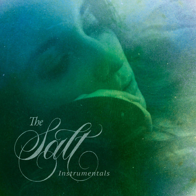 The Salt Instrumentals cover art