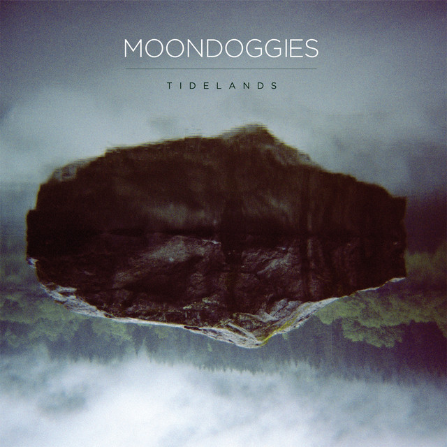 Tidelands cover