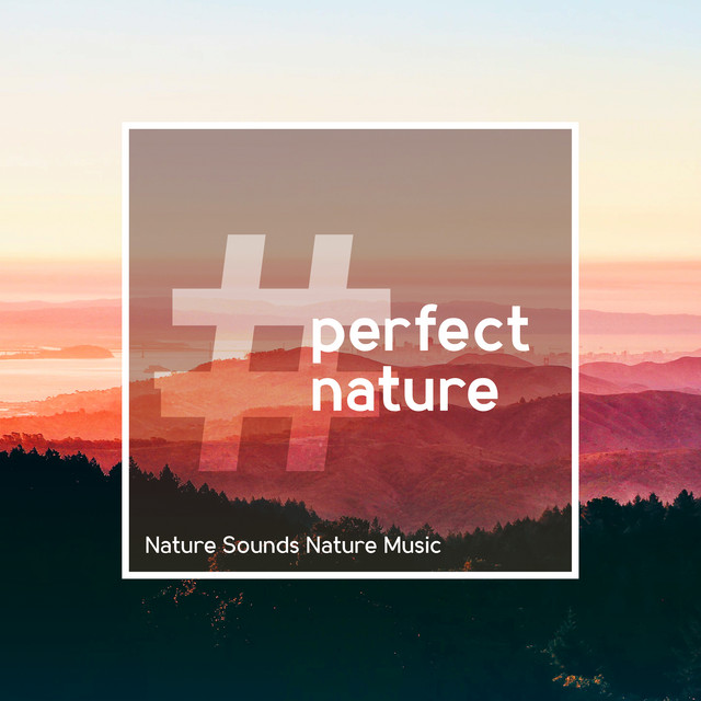 #perfectnature - Album by Nature Sounds Nature Music | Spotify