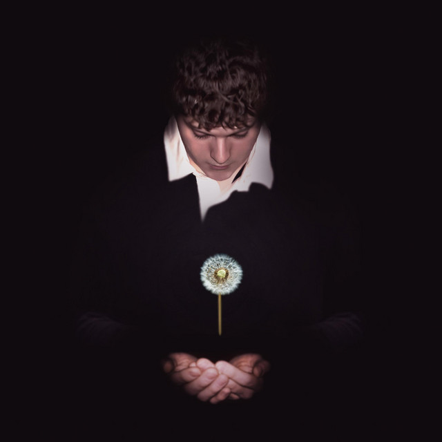 Dandelion cover art