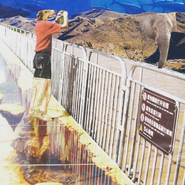 Amarillo Banqueta cover art