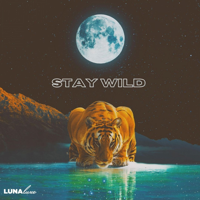 Stay Wild