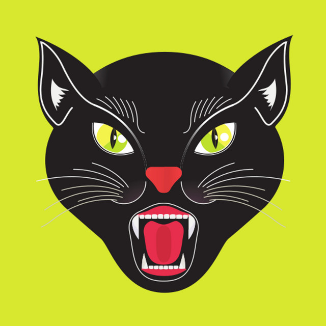 Black Cat, Best You Can Get! cover art
