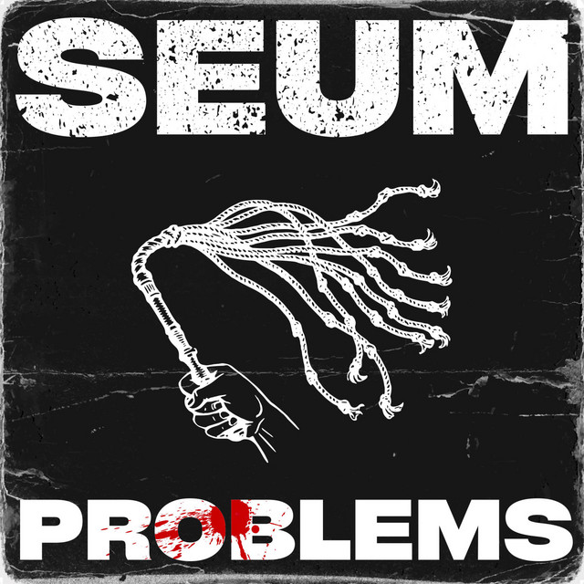 Problems cover art